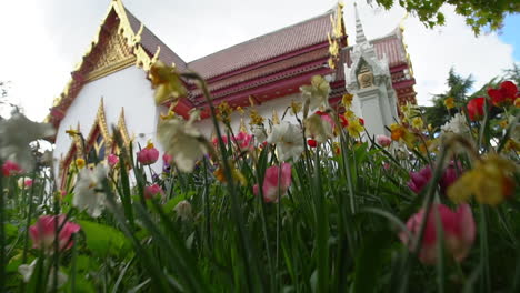 チューリップと水仙の花畑をズームインすると、隠されたタイの仏教寺院の壮大な景色が明らかになります