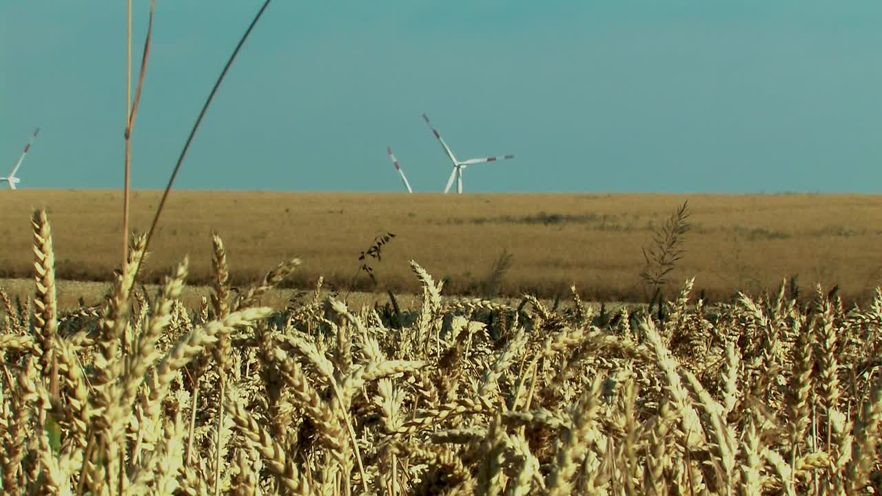 풍력 터빈, 독일과 함께 magdeburger boerde의 밀밭