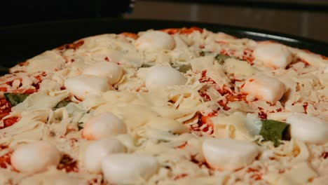 close up focus pull of italian buffalo mozzarella pizza with basil and tomato base ready to go in oven