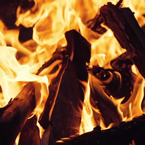 burning wood. burning fire in a home fireplace. slow motion