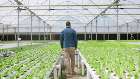 Farming,-nursery-and-man-with-back