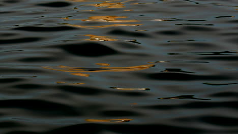 An-orange-light-reflects-off-the-smooth-rippling-dark-water