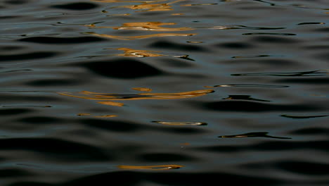 Una-Luz-Naranja-Se-Refleja-En-El-Agua-Oscura-Y-Ondulante