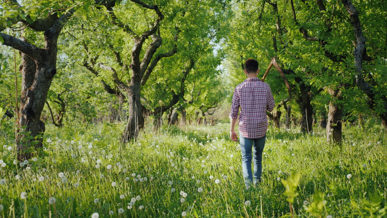 손으로 땋은 젊은 농부가 사과 과수원 후면 보기 4k 비디오를 통해 걷는다