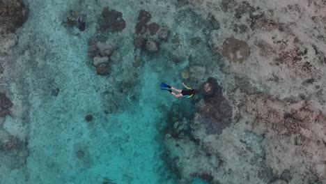 video aéreo de una niña explorando un arrecife de coral tropical mientras bucea