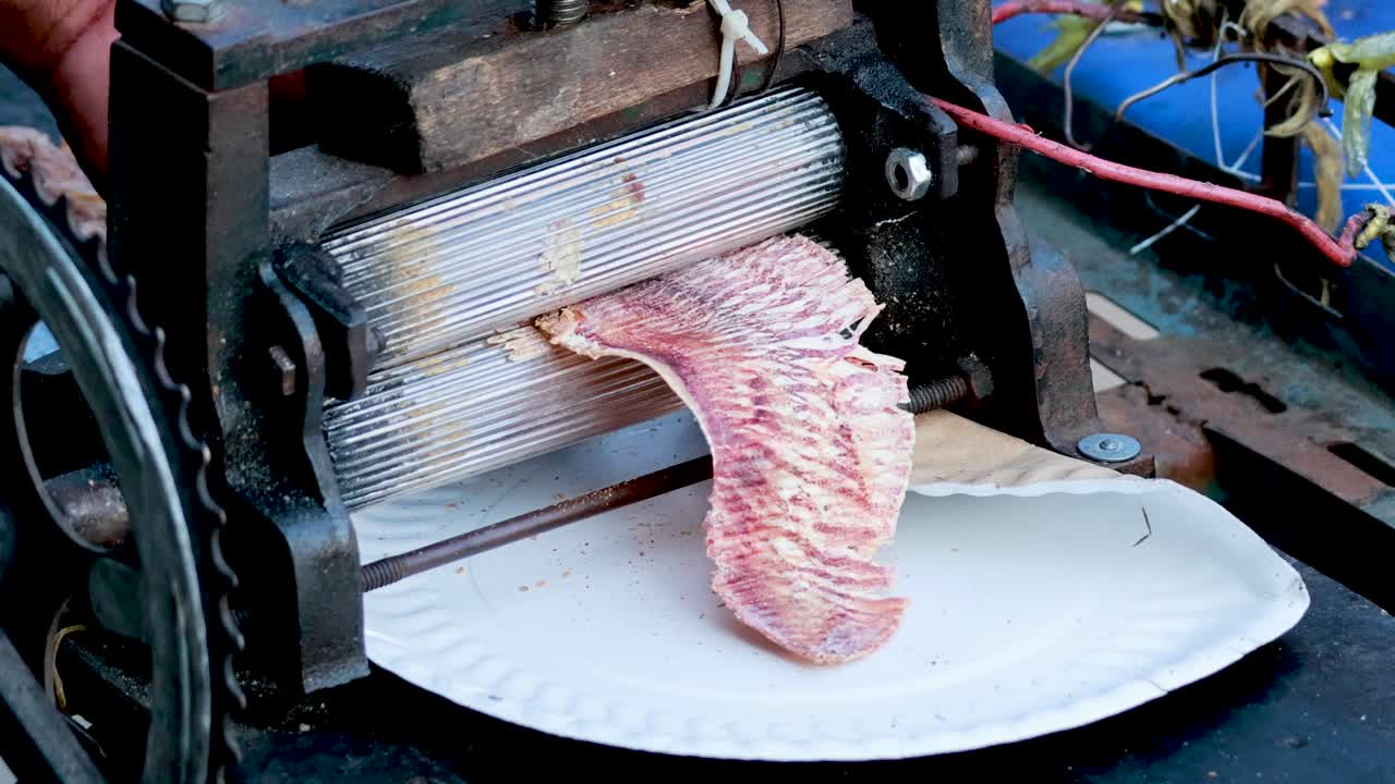 기계적 롤러 에 의해 러지는 오징어