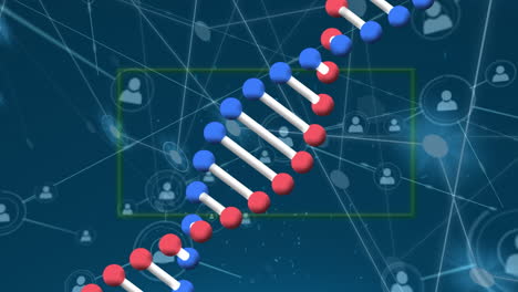 animación de la estructura de adn giratoria y la red de iconos de perfil contra un fondo azul