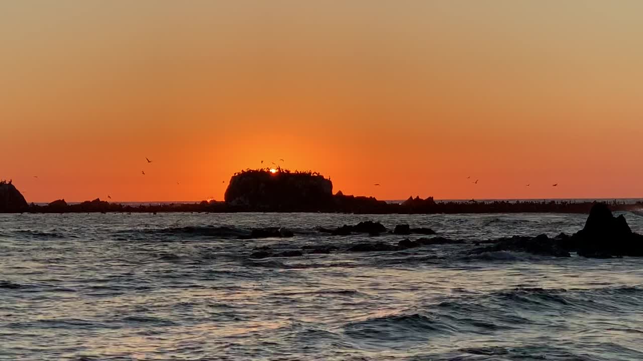 바다, 바위, 파도로 이루어진 아름다운 풍경 위로 새들이 날아다니는 고요하고 평화로운 일몰