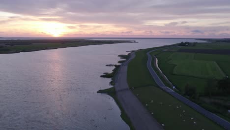 wide view of makkum with sheep grazing on dyke during sunset, aerial