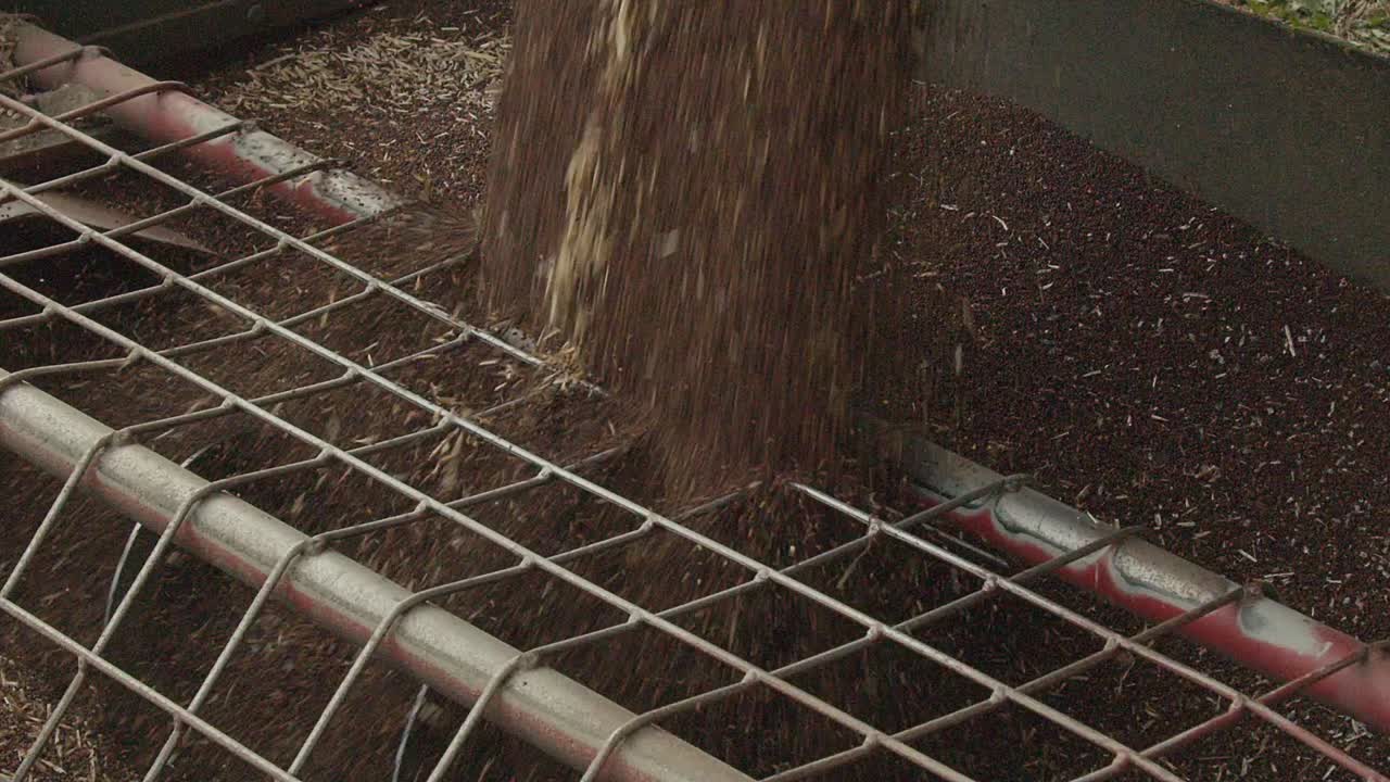 Close up footage of canola being unloaded from a truck into a grain auger in slow motion