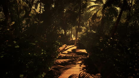 a path through a tropical jungle