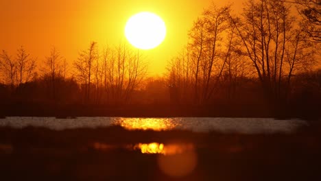 medium shot looking into the setting sun with a silhouetted couple walking past leafless tress and a pond or lake