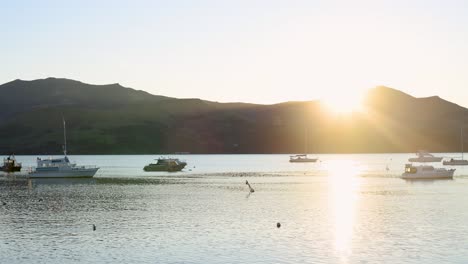boats gently float in akaroa harbor as the sun sets behind the mountains, casting golden rays over the tranquil water