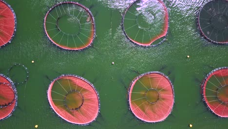 aerial view of fishing farming nets