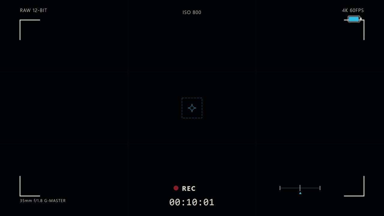 Digital Camera Viewfinder Interface Recording Overlay