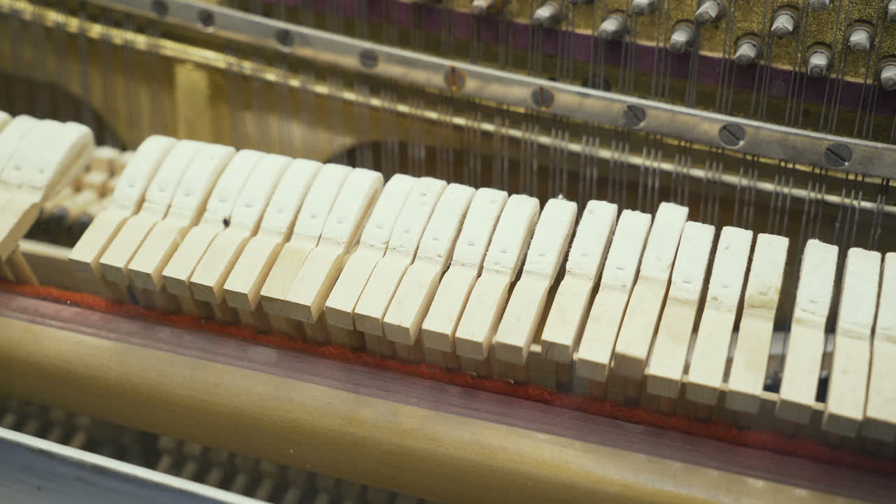 Piano. Principles of the work of musical instruments.