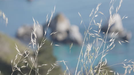 california coastal archways from a distant praire