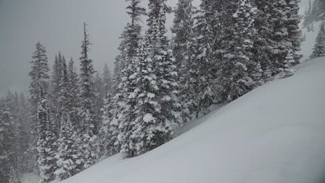 Travesía-Berthoud-Pass-Colorado-Polvo-Correr-Pacífico-Nieve-Cámara-Super-Lenta-Nevando-Nevado-Primavera-Invierno-País-De-Las-Maravillas-Tormenta-De-Nieve-Blanco-Polvo-Profundo-Pino-Bosque-Nacional-Montañas-Rocosas-Pan-Izquierda