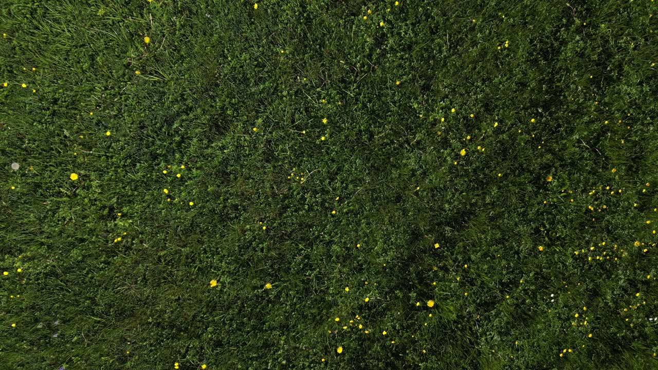 fotografía aérea de un campo verde fresco en el pueblo de weesen, st.