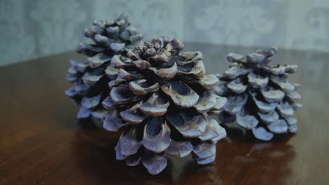 giant cones on a wooden table-1