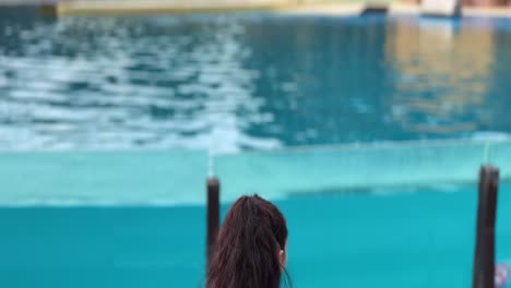 Young-woman-at-Selwo-World-looking-at-dolphin-show-in-south-Spain