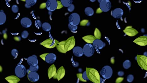 blueberries and leaves cascade against a black background