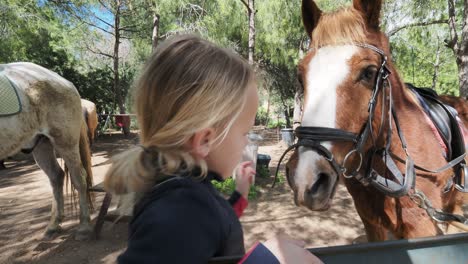 child interacting with a horse in a park