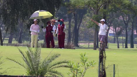 group of golfers enjoying a game outdoors.