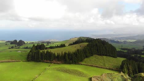 Grüne-Idyllische-Bauernfelder