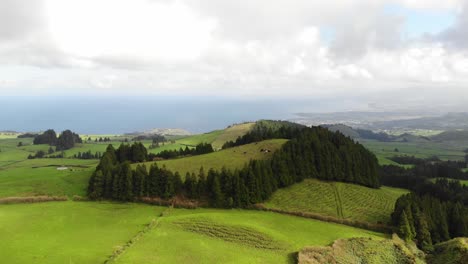 green idyllic farm fields
