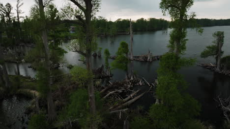 Tocones-De-árboles-En-El-Agua-Del-Lago-En-El-Parque-Estatal-Reelfoot-Lake,-Tennessee,-Estados-Unidos---Retroceso-Aéreo