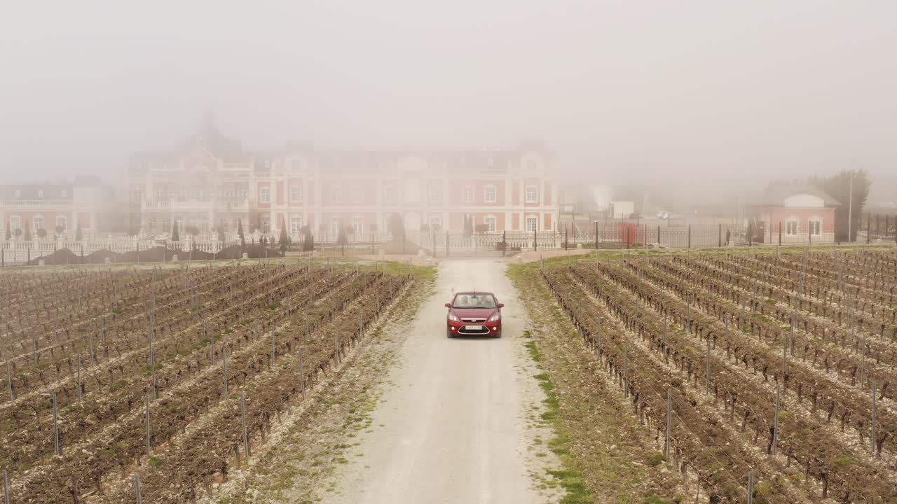 포도, 안개 아침 장면을 통해 시골 도로에 빨간 자동차
