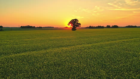 Puesta-De-Sol-Salida-Del-Sol-Temprano-En-La-Mañana-Hermoso-Comienzo-Del-Día-En-Campo-Abierto,-Cielo-Despejado