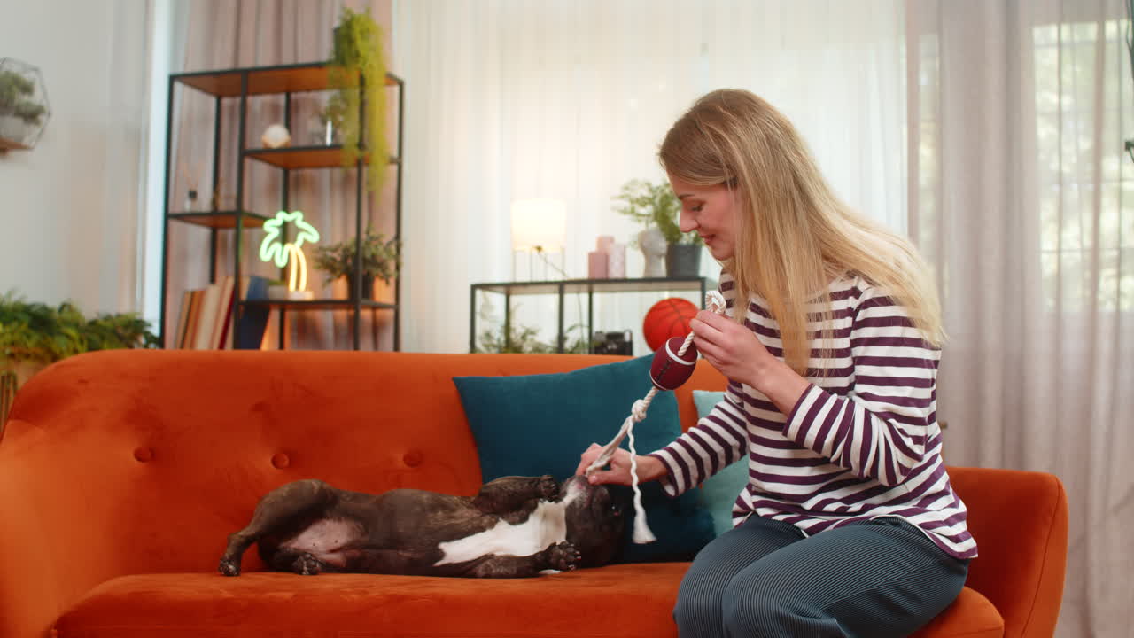 Middleaged woman with dog plays tug of war rope ball pet resists pull woman guides gentle training