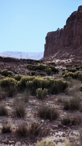 desert canyon landscape with red rocks and green bushes