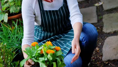 portrait of mature woman holding pot plant