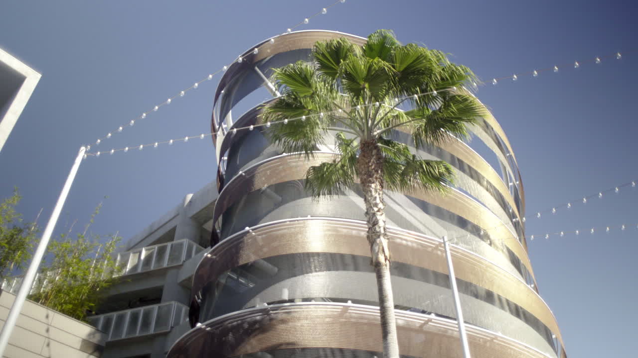 Modern Building with Curved Facade, Palm Tree, and String Lights