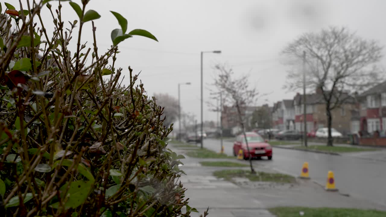 런던의 도시 거리를 지나는 자동차와 함께 눈이 내리는 산울타리를 가까이서 볼 수 있습니다.