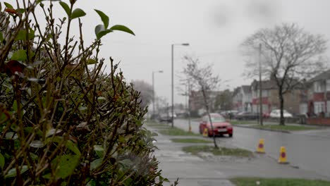 Close-Up-View-Against-Hedge-With-Light-Snow-Falling-With-Cars-Driving-Past-In-Urban-Street-In-London