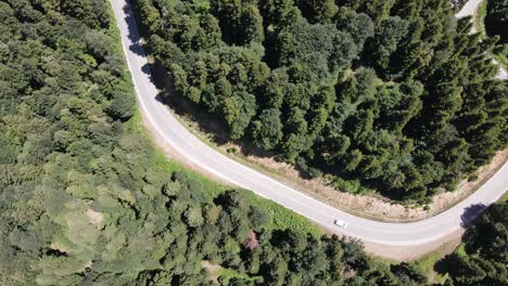 coche yendo lentamente camino entre la naturaleza