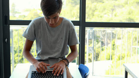 escolar usando una computadora portátil en el aula