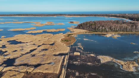 Sendero-De-Madera-A-Través-Del-Lago-Kaniera-Cañas-Tiro-Aéreo-De-Primavera-Lapmezciems,-Letonia