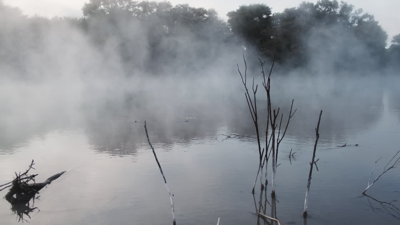 뉴질랜드 의 지열 호수 의 평온 한 표면 에서 떠오르는 안개