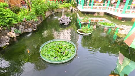 peaceful pond with greenery and architecture