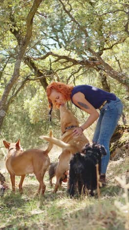 woman petting and interacting with dogs in a natural outdoor setting
