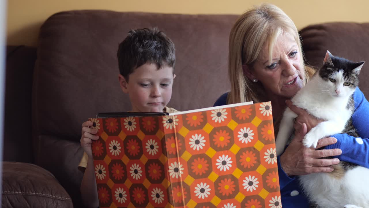abuela con un gato leyendo un libro a un niño pequeño