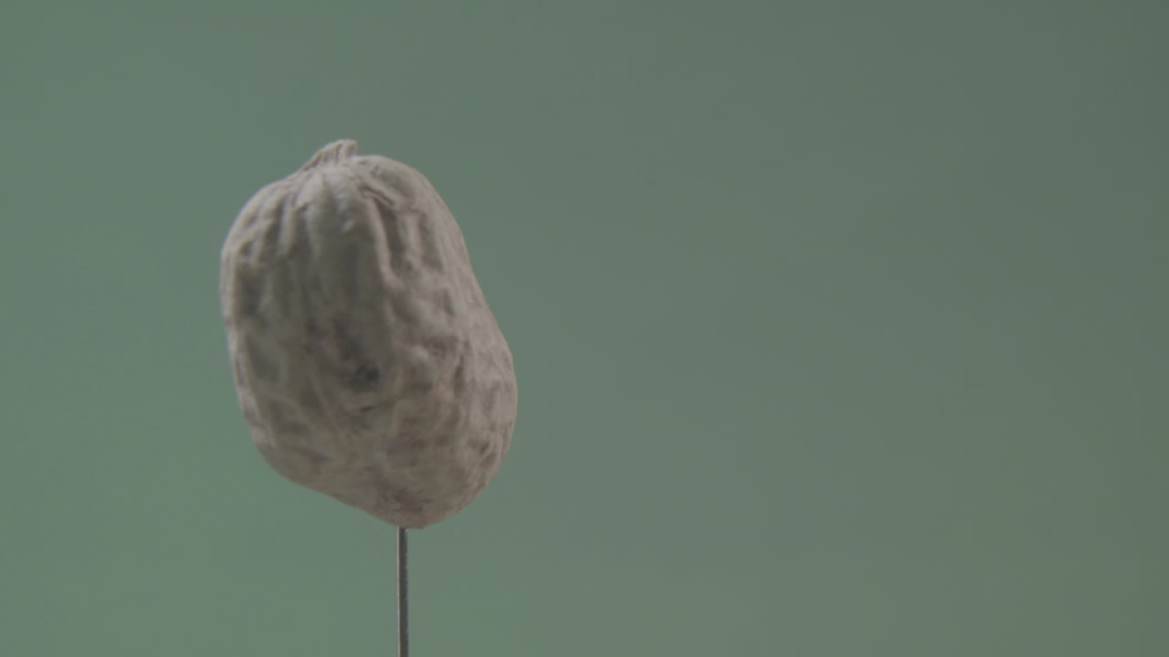 maní girando con bucle en la pantalla verde para la llave de croma