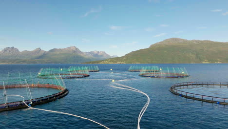 low aerial between salmon aquaculture business with round marine pens, gratangen