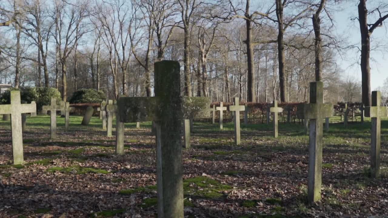 военное кладбище в лесу.