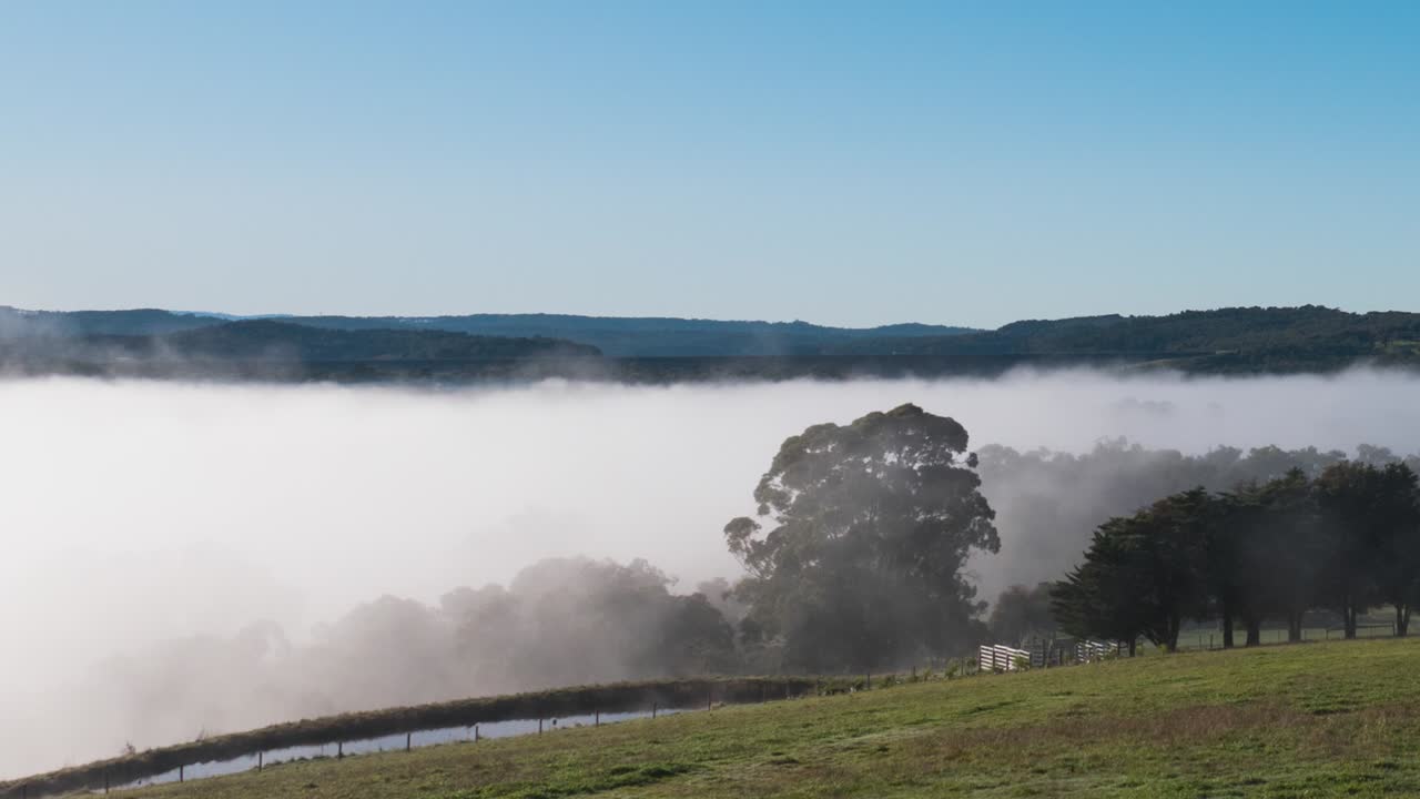호주 빅토리아에 있는 농장 댐 주변에서 안개가 맑아지는 근접 저속 촬영